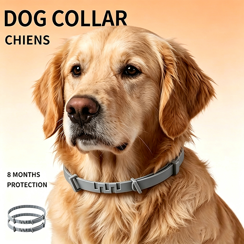 Adjustable dog collar with a fresh scent,Perfect for everyday outdoor use 🐾🌿