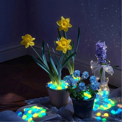 🔥LAST DAY SALE 49% OFF🔥🌈Colorful Glow-in-the-Dark Garden Stones