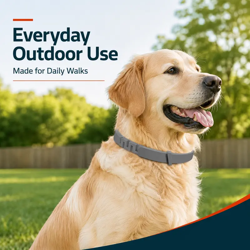 Adjustable dog collar with a fresh scent,Perfect for everyday outdoor use 🐾🌿