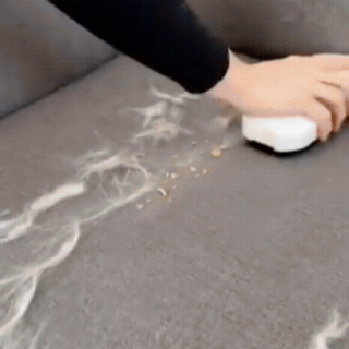 Portable Pet Hair & Crumb Remover Brush